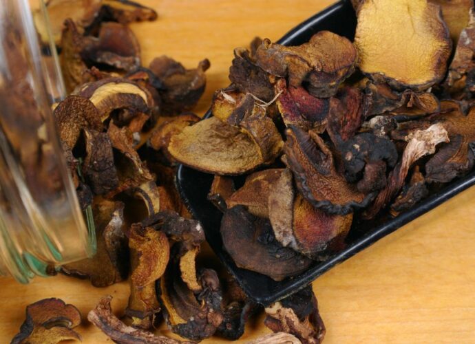 Suszone grzyby wysypane ze szklanego słoja