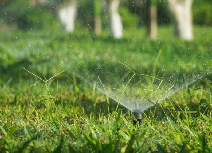 Efektywne nawadnianie ogrodu – technologie i sprawdzone rozwiązania