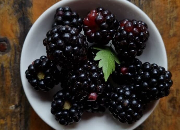 Te konkretne odmiany jeżyn to najsilniejsi pogromcy wolnych rodników