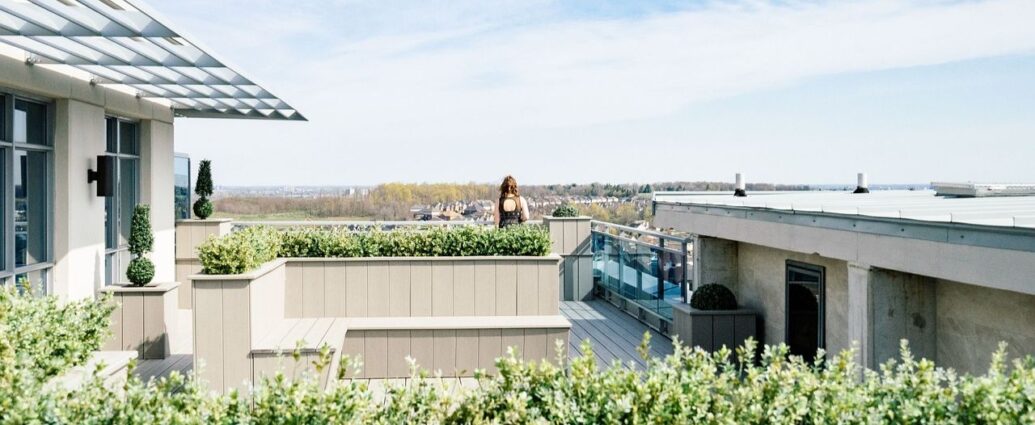 Dlaczego warto wybrać zielony dach?