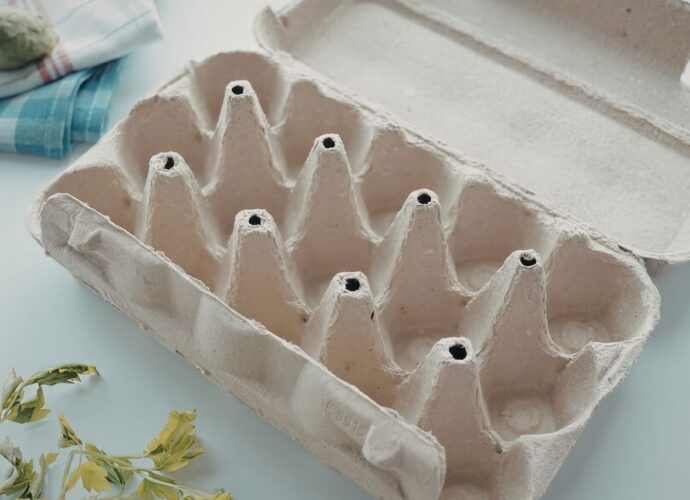 Papierowa wytłoczka po jajkach, którą można jeszcze wykorzystać