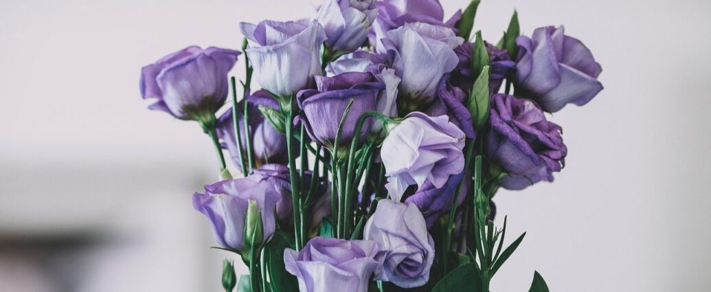 Sztuczne drzewko potrafi uporządkować przestrzeń, dodać jej charakteru i wypełnić miejsca, które trudno zagospodarować inaczej