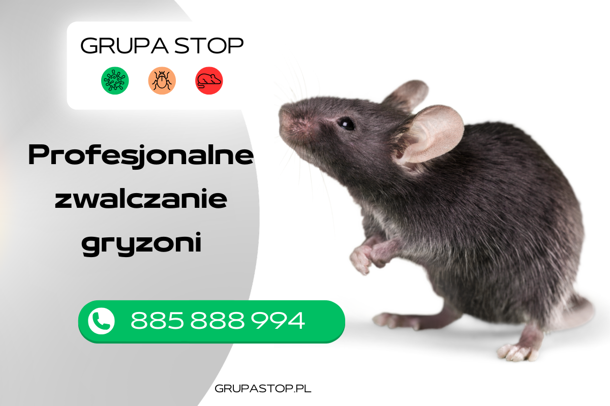 Zwalczanie gryzoni Grupa Stop