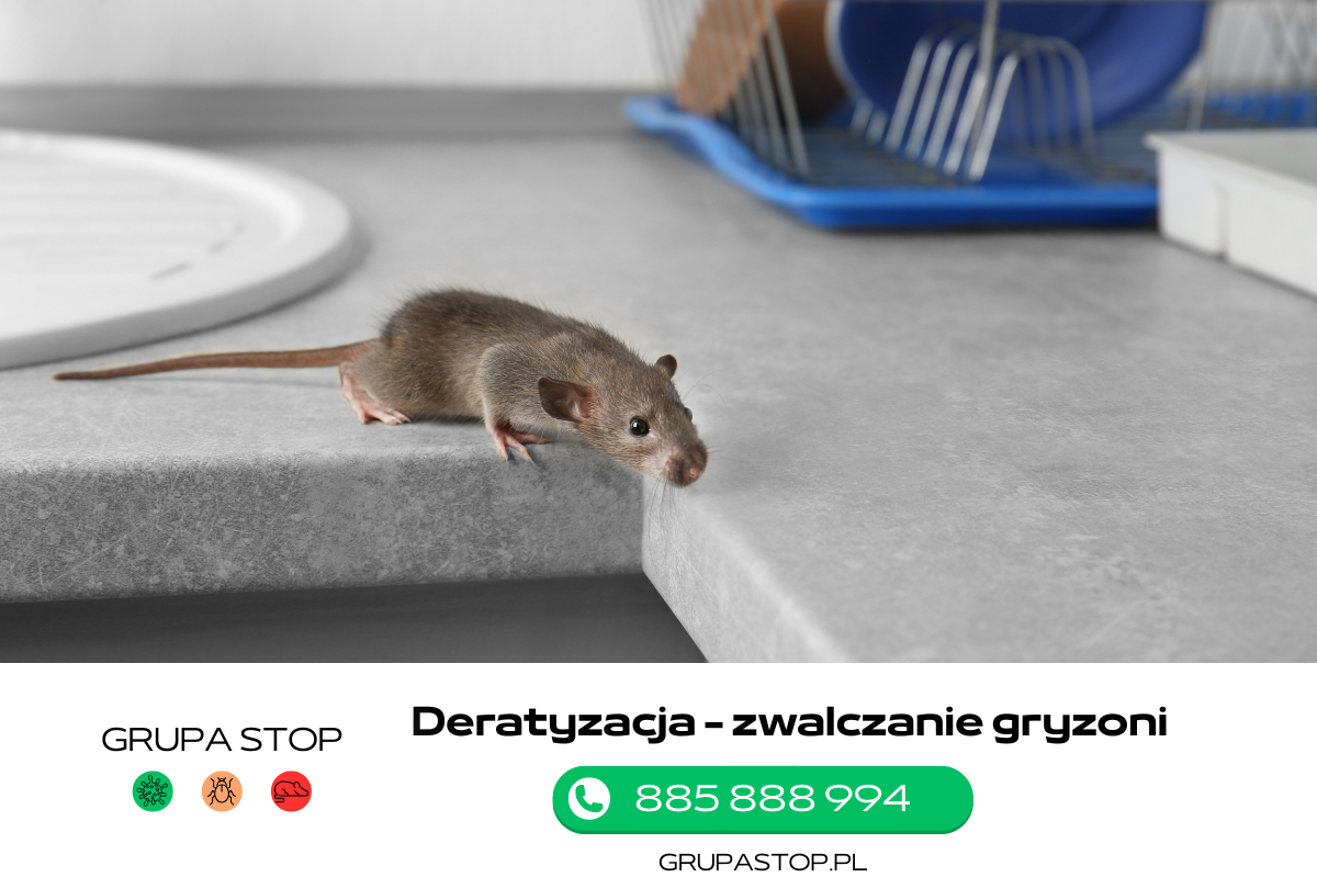 Deratyzacja Grupa Stop