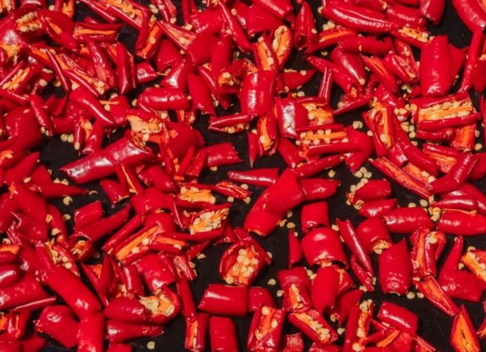 Pokrojone czerwone papryczki chili - źródło kapsaicyny